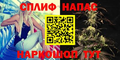 скорость Кинель