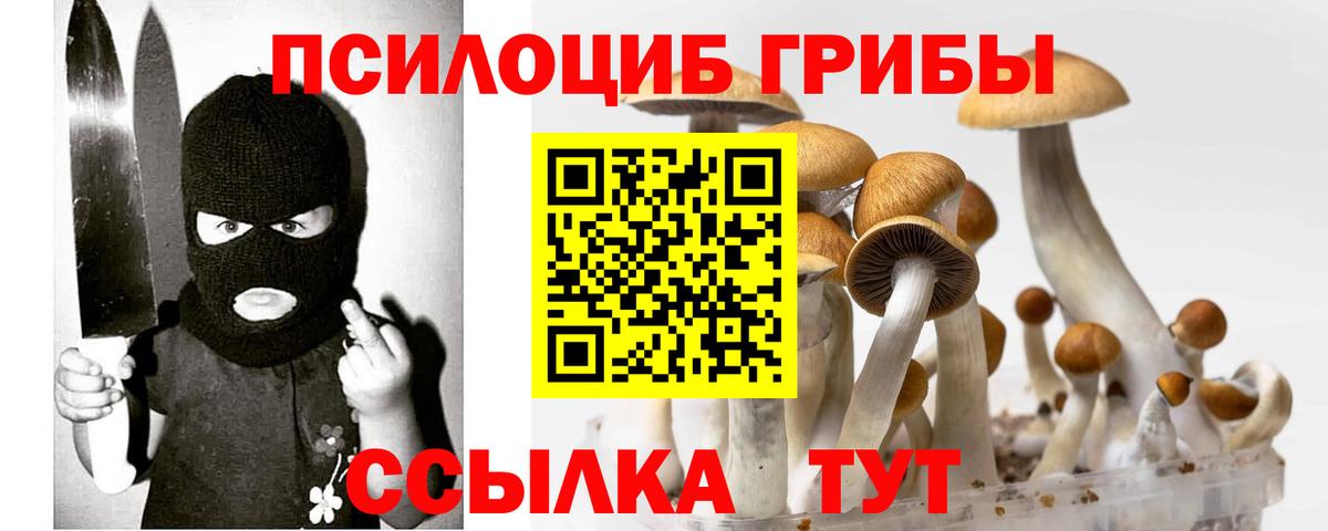 Галлюциногенные грибы Cubensis Бутурлиновка